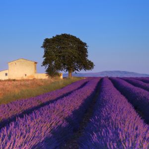 Provence Francúzko