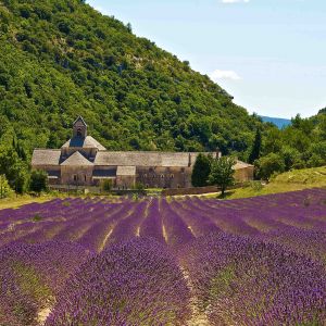 Provence Francúzko
