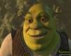 Shrek