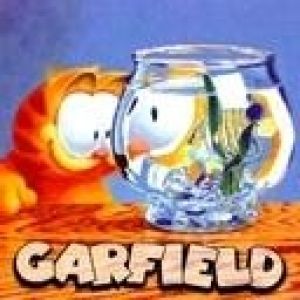 Garfield