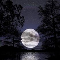 moon