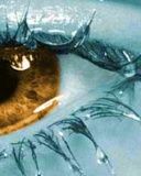 Ice Eye