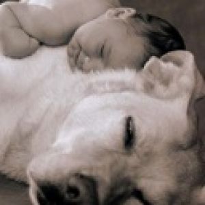 baby and dog