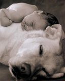 baby and dog