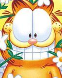 Garfield