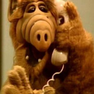 ALF