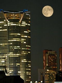 Moon in the City