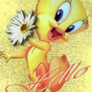 Tweety