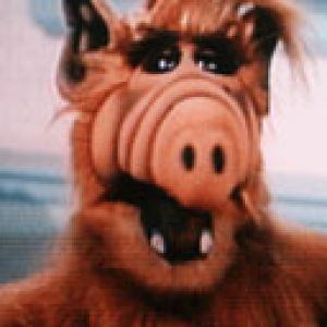 Alf