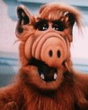 Alf