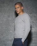 Wentworth Miller