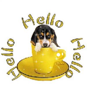 Hello