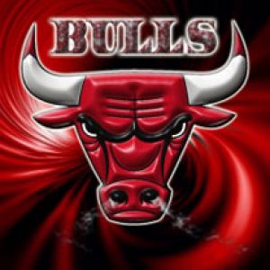 Bulls