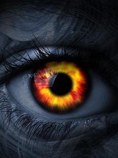 Eye