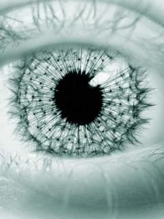 Eye