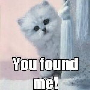 You found me