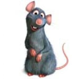 Ratatouille