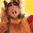 Alf