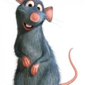 Ratatouille