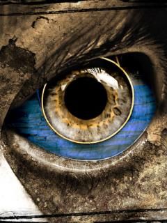 Eye