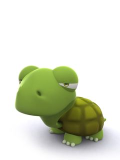 Tortoise