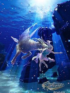 Capricorn - Kagaya