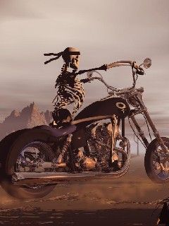 Crazy Biker