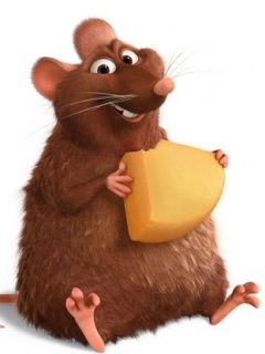 Ratatouille