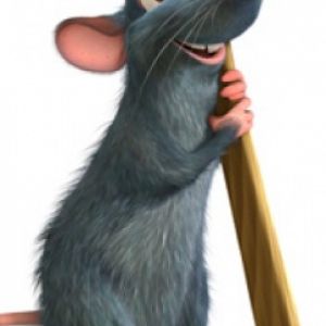 Ratatouille