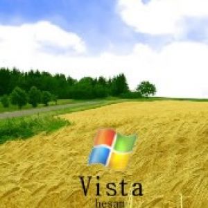 Vista