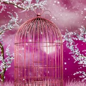 Pink Cage