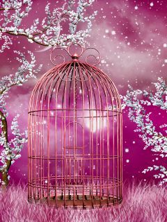 Pink Cage