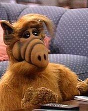 Alf