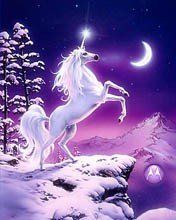 Unicorn