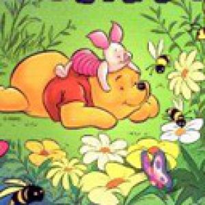 Winnie the Pooh