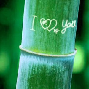 I love you