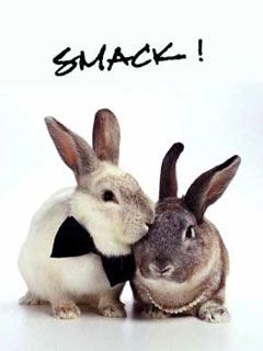 Smack!
