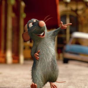 Ratatouille