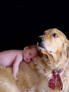 Friendship