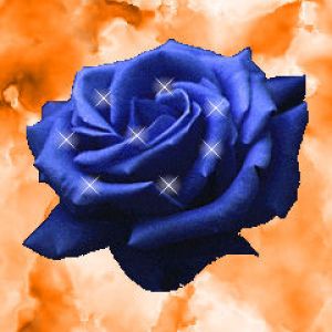 Blue Rose