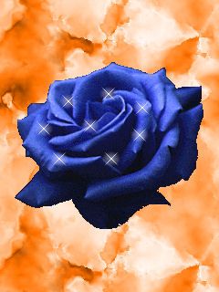 Blue Rose