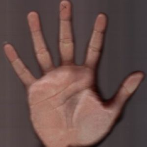 Hand