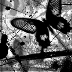 Black Butterfly