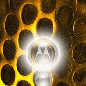 Motorola