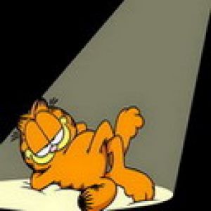 Garfield