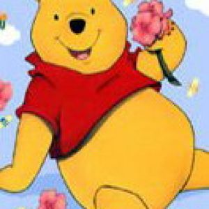 Winnie The Pooh