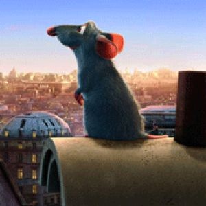 Ratatouille