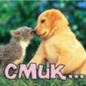 cmuk...