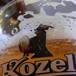 Kozel