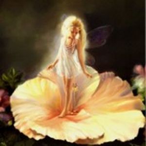 Fairy